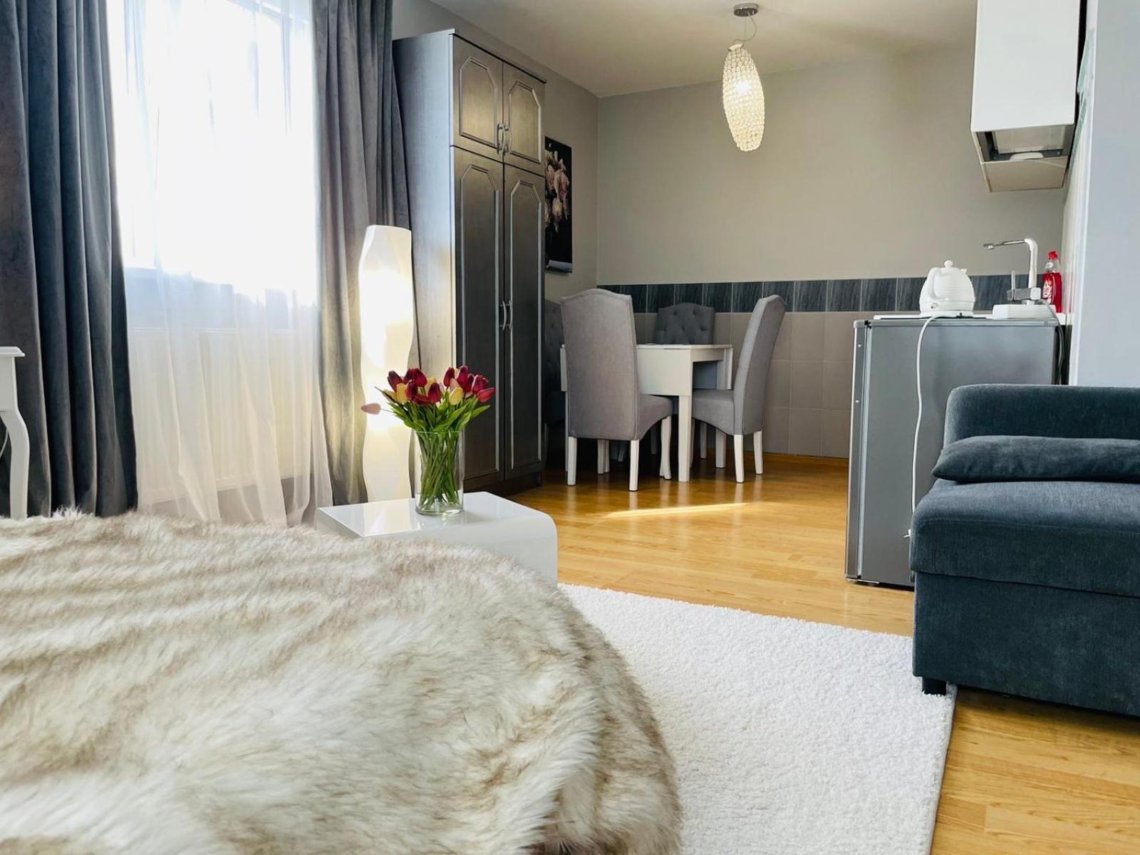 Vila"Anna" Daire Palanga Dış mekan fotoğraf